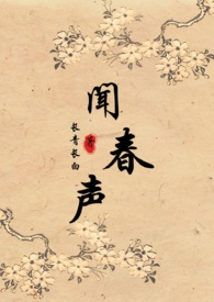 闻音小说
